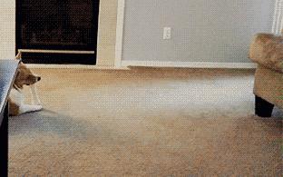 夕阳下的奔跑是我逝去的青春出处,我想起那天夕阳下的奔跑出自哪里