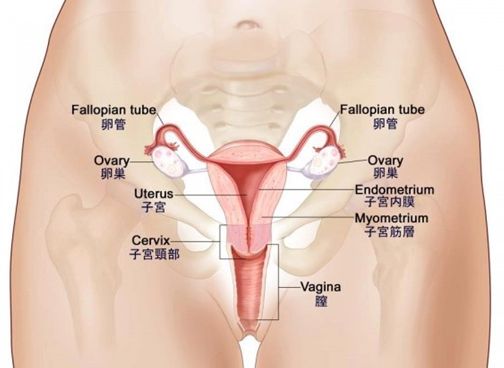 宫颈癌注意忌口的食物有哪些,宫颈癌忌口一览表大全