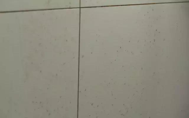 德国去油污厨房神器,去油污厨房神器真实测评