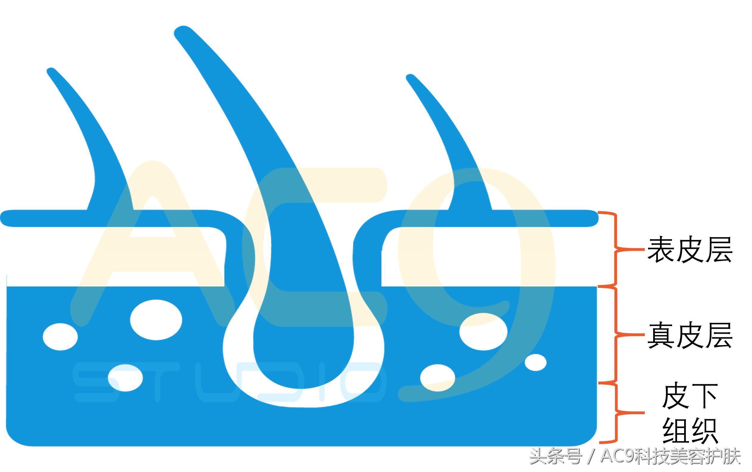 家里用什么洗脸可以清洁皮肤,用什么洗脸清洁皮肤