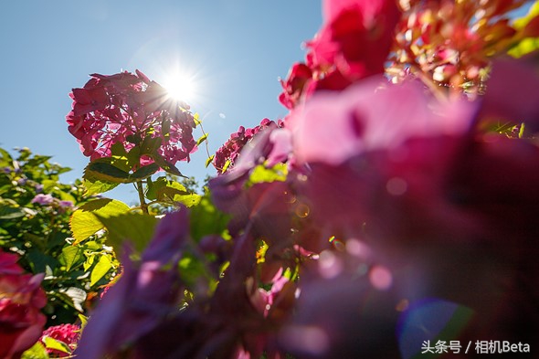 佳能eos6dmark2深度评测,佳能eos6dmark2值得买么