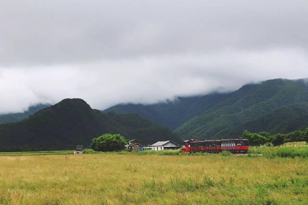北纬30°神秘之境,在高山草甸、追逐鹿群,这里美的像天堂!