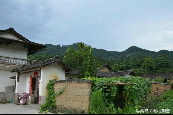 真实的故事:两个孙子因吃了奶奶放在饭桌上的花生,而引发身亡