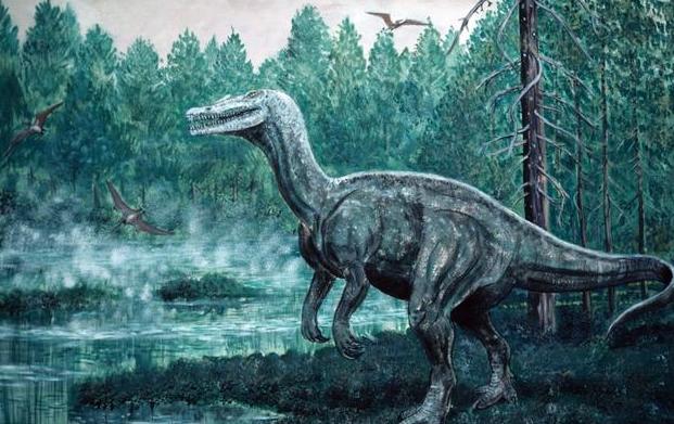 科学家发现恐龙蛋化石,科学家们发现了恐龙的证据