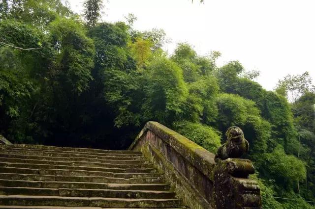 四川长宁竹海与赤水竹海,竹海风景区沐川