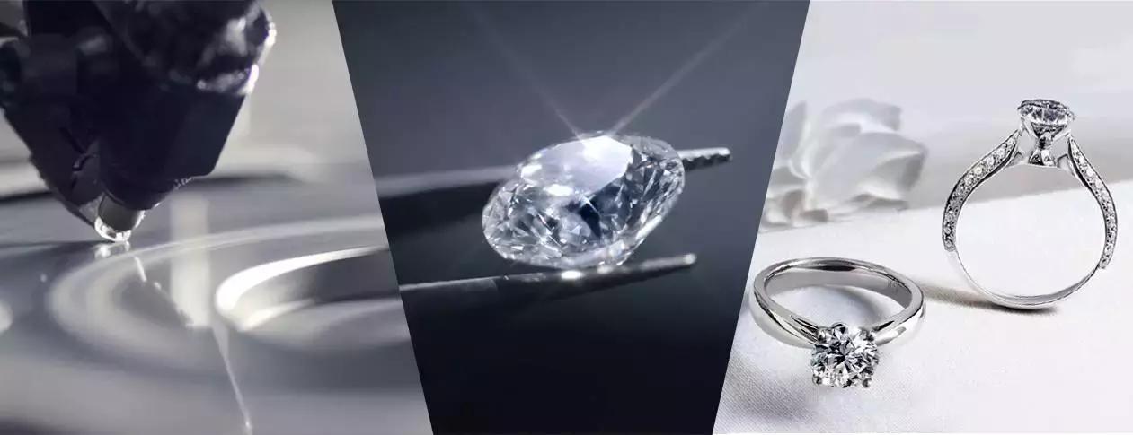 你说你养我是不是真的 (你上次说养我是不是真的粤语)