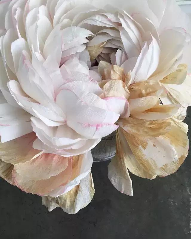 会枯萎腐烂的仿真花,会枯萎的花有什么