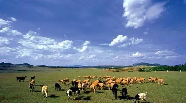 云南昆明悠闲的夏天避暑环境,昆明周边最好的避暑城市