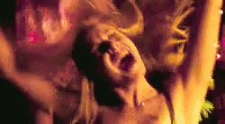 在荷兰真实感受,在荷兰两年的感受