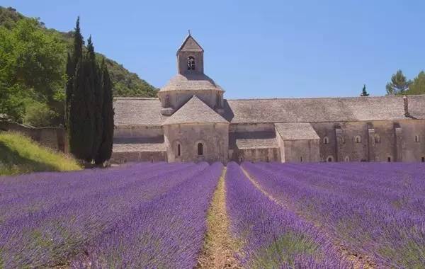 青年人旅游机会,如果去旅游你最想去哪儿