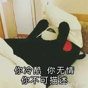 石家庄郊区租房房价是多少,石家庄裕华区一室一厅租房500元