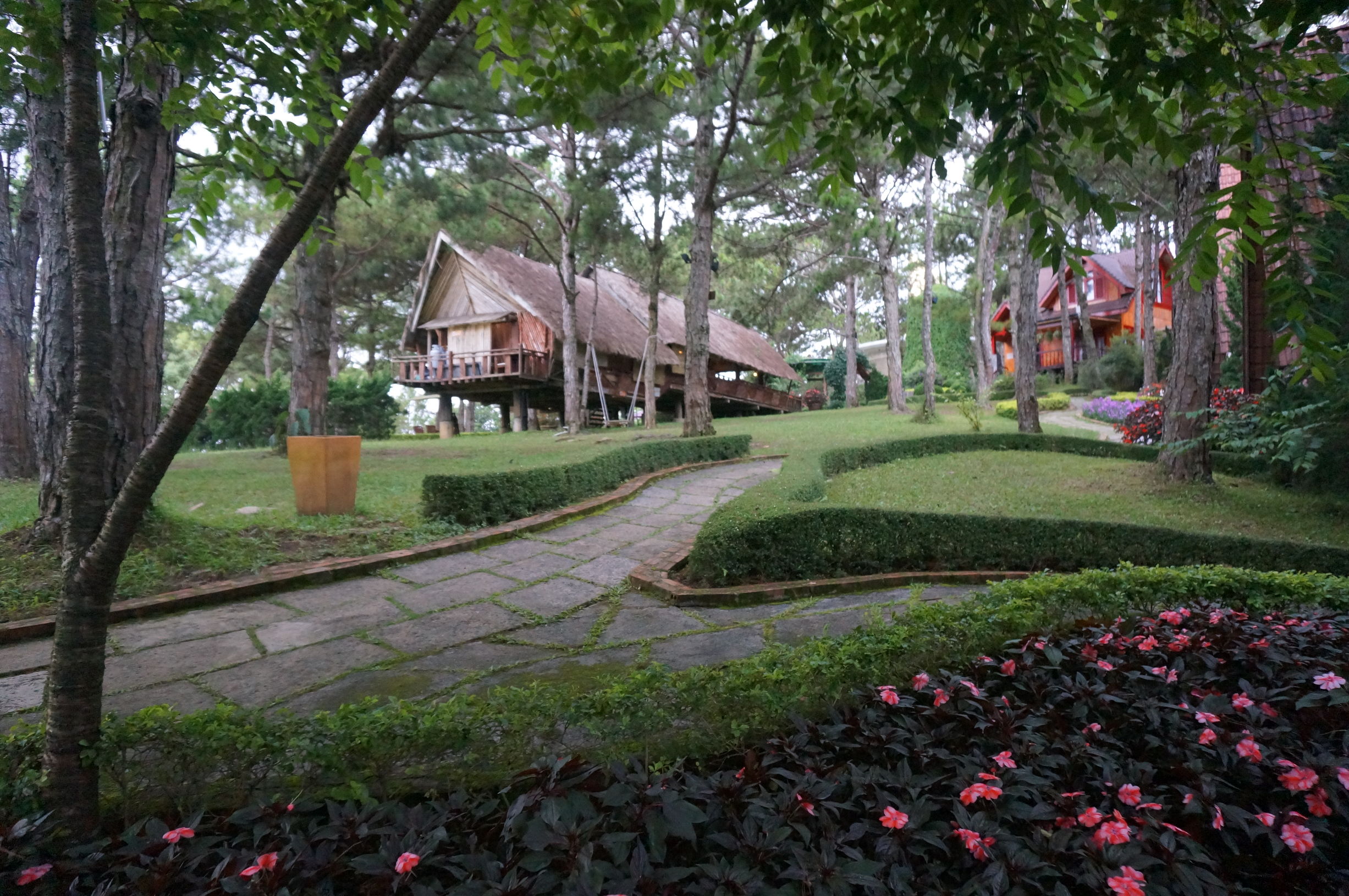 我的越南旅行记,我的芽庄之行全集