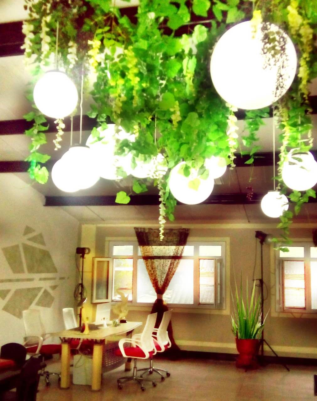 农村的一栋别墅怎么经营,乡村的房子怎么打造