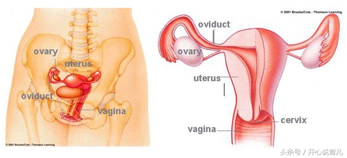 你以为上了环就能一劳永逸？更多的麻烦在等着你呢！