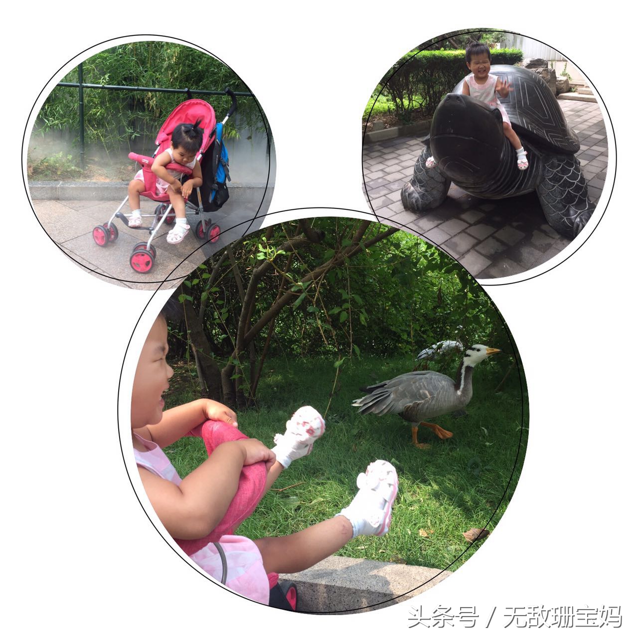 恰逢暑期旅游高峰，带珊宝游北京动物园