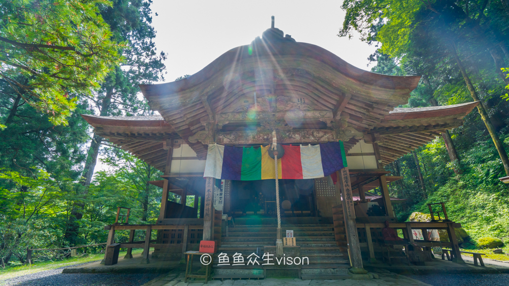 日本东京大阪最值得去的地方,日本大阪深度游攻略