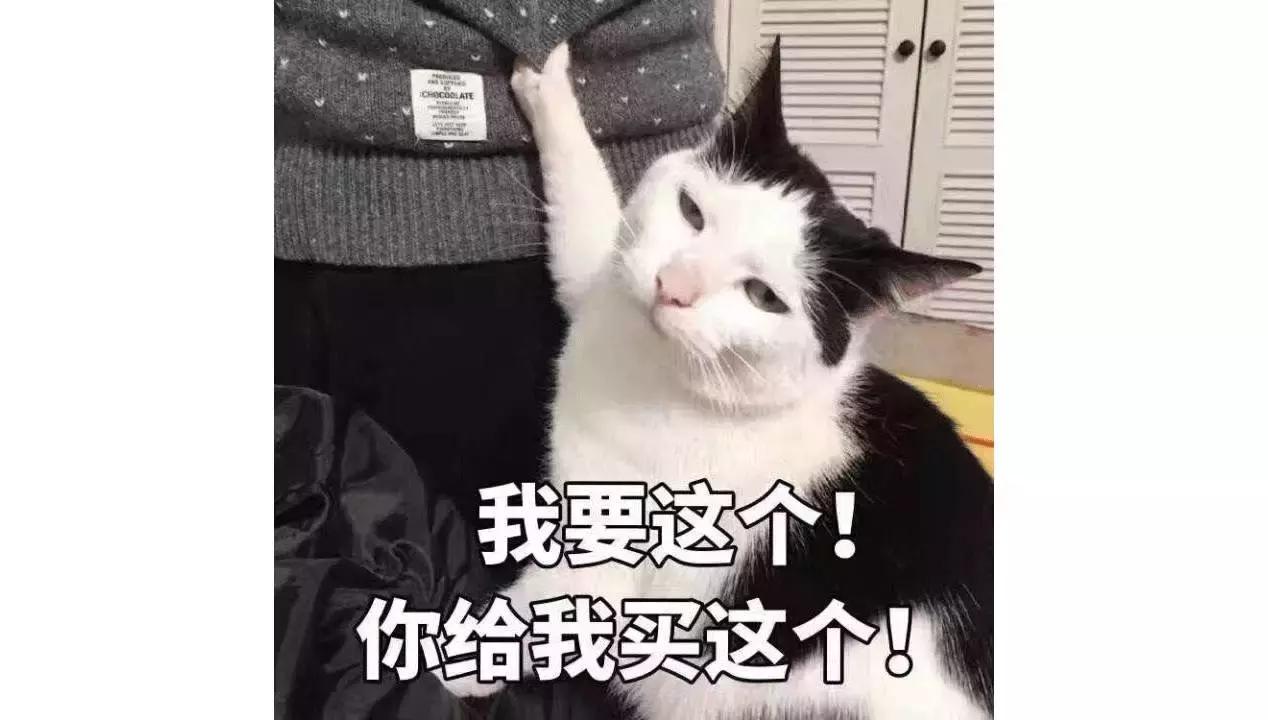 变美日记100天,变美日记每天长高10厘米