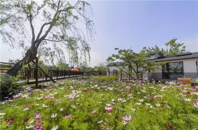 说走就走走遍全中国旅游,说走就走的旅行完整版