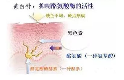 李圣经南柱赫什么时候宣布分手,李圣经南柱赫分手原因是什么