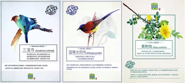 国货崛起但为什么做不出奢侈品,有哪些国货被看不起