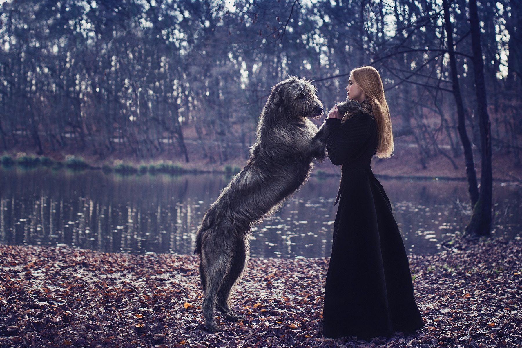 犬中的巨无霸世界著名的犬种,世界上体型最小的犬种排名