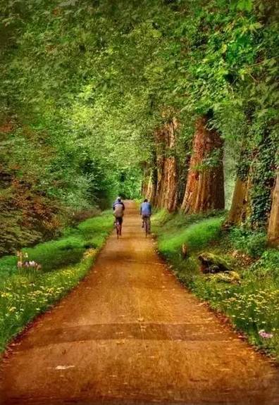 厚黑学目的是让人厚道还是厚黑,厚黑学五个厚黑秘诀