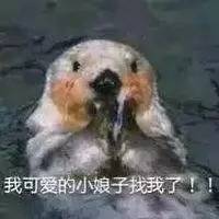 古人竟然这么摩登，代购，吸金早就有了！