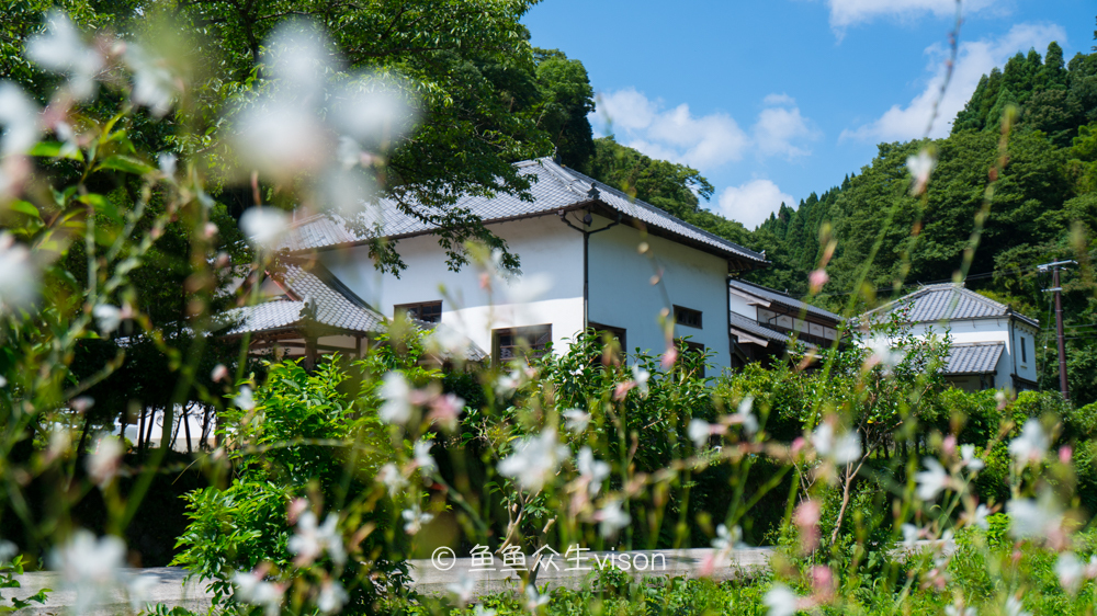 这里是日本,日本旅游柯南故乡