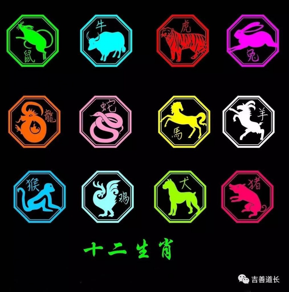 属狗丁火人戊戌年运势,属龙之人戊戌年运势