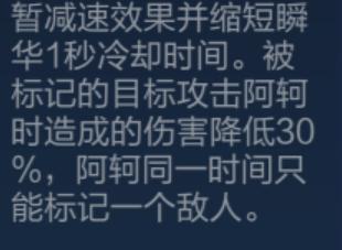 王者荣耀英雄cos阿轲,王者荣耀英雄详解