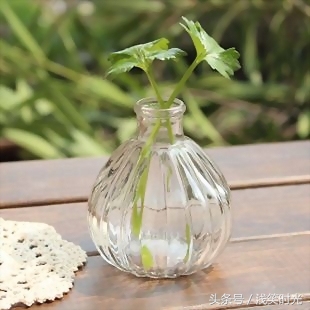 看不透人心躲不过虚伪的句子,看透人心心酸无奈的句子