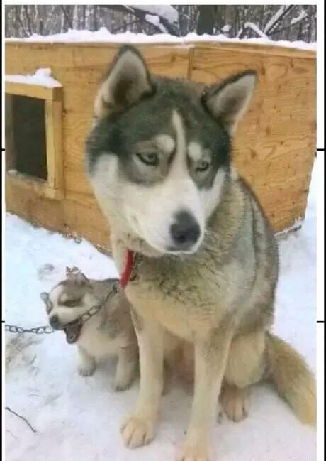 夕阳下的奔跑是我逝去的青春出处,我想起那天夕阳下的奔跑出自哪里