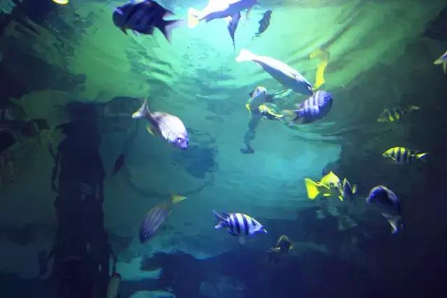 不要只顾着看沿途的风景,兰州哪个公园可以爬山