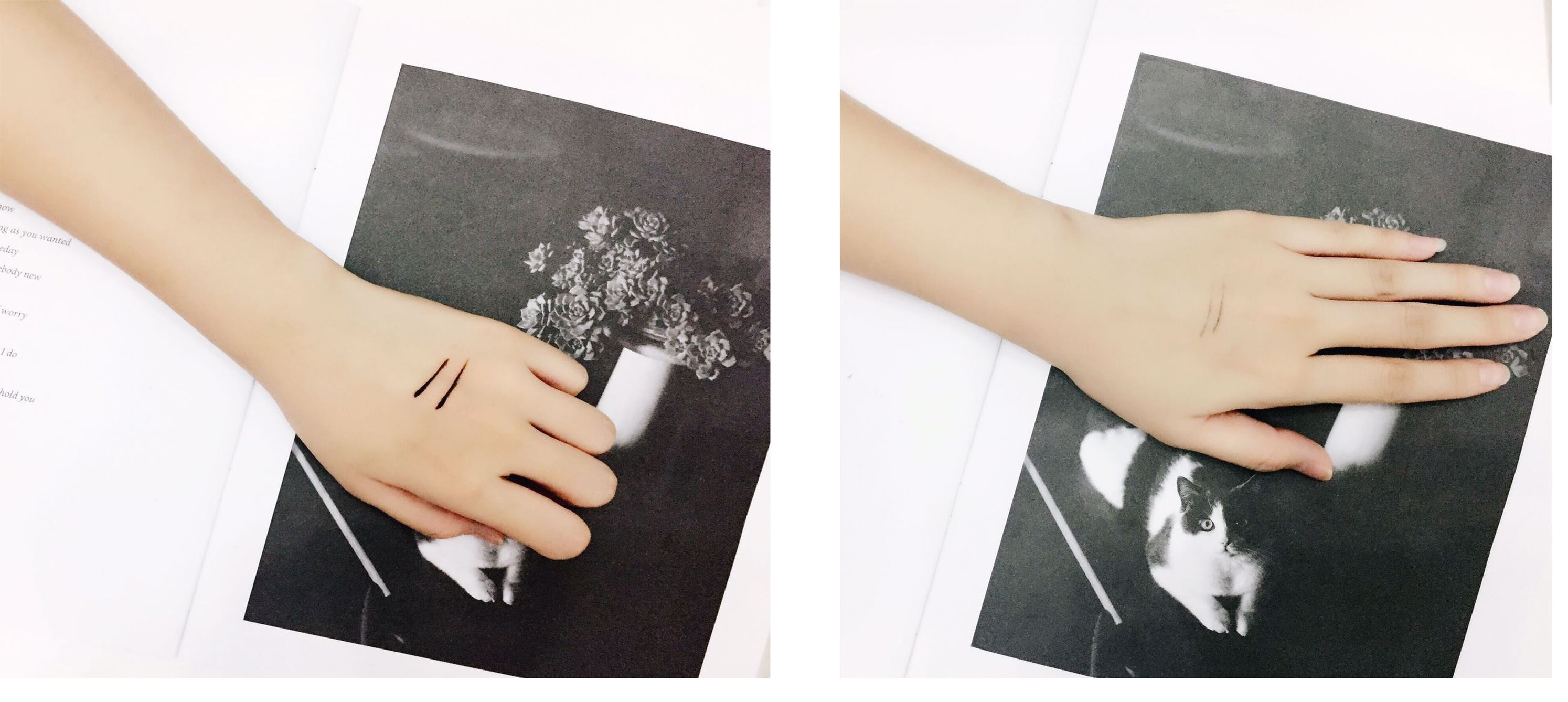 雪美清杨桃面膜,日本雪美清杨桃水测评