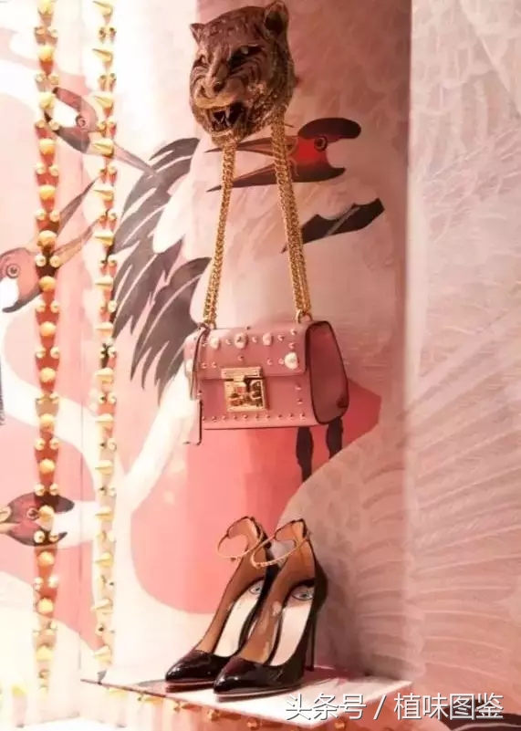 世界顶级奢侈品橱窗,不出家门一分钟尝遍世界咖啡