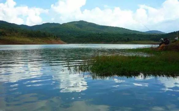 深秋天野钓草鱼最佳方法,春末野钓草鱼的最佳方法