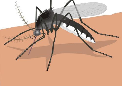 宝宝驱蚊神器,儿童驱蚊特效药