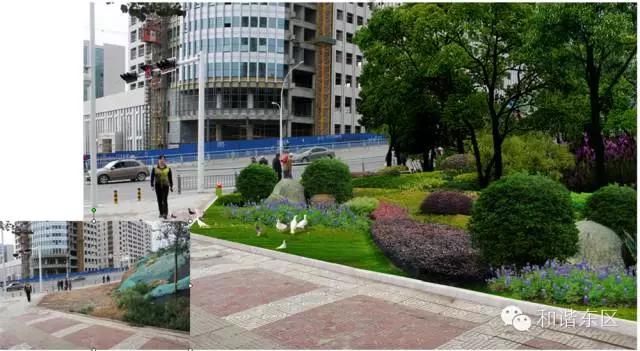 东区绿道,东部新区绿道