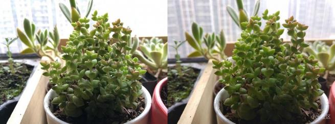 小米5拍照清晰,小米5拍照模糊是什么原因