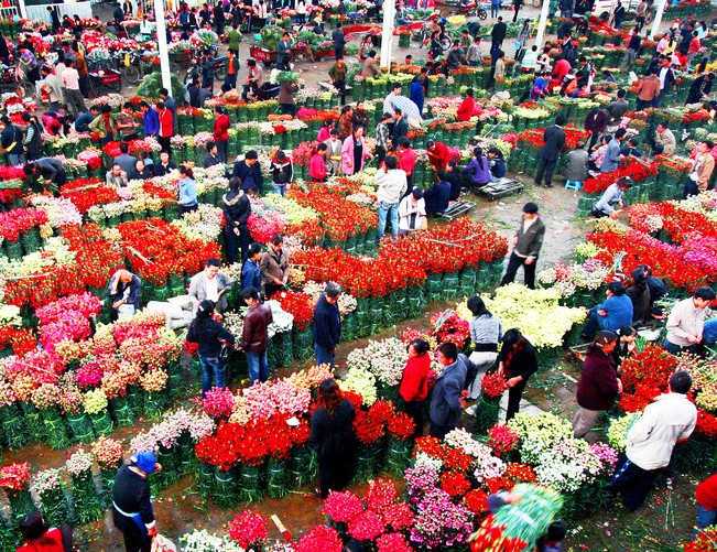 花卉市场发展方向,几个90后赚一百万