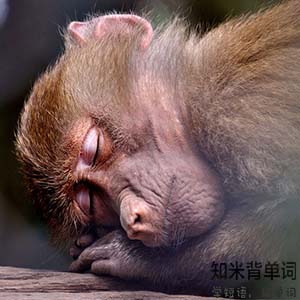 世界睡眠日您睡得还好吗,世界睡眠日揭秘聪明的人都睡得少