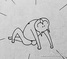 为什么柴犬掉毛那么厉害,为什么柴犬溜不动