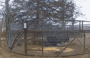 库尔勒人注意：星火草原是*局骗**！