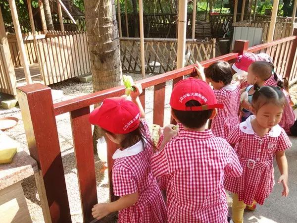 亚龙湾红树林酒店室内玩乐,亚龙湾红树林酒店潜水体验