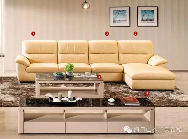 好看又有品位的沙发,丝绒花沙发轻奢