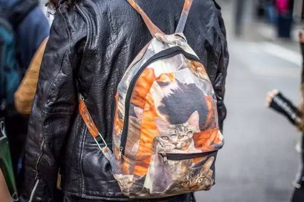 杨幂米兰达可儿,杨幂时尚背包