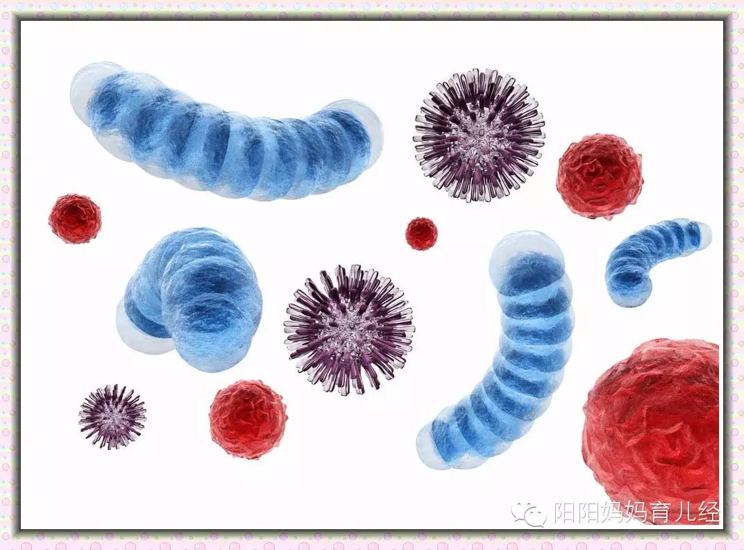 养孩子每天消毒,养孩子是干净点好还是脏点好