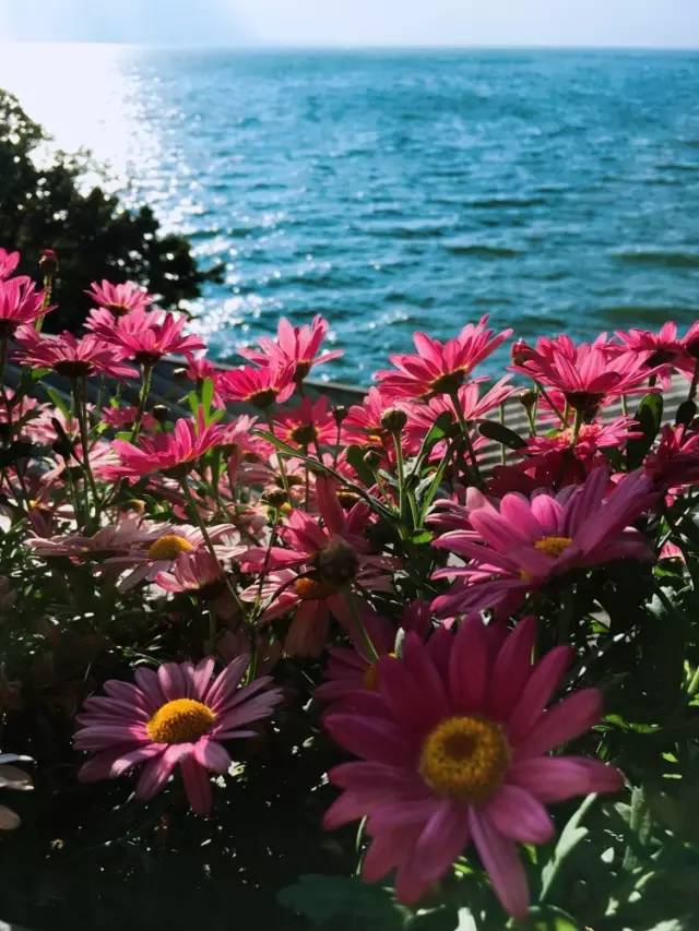 杨丽萍的太阳宫简介,杨丽萍太阳宫全部照片