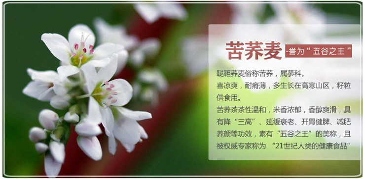 鑻﹁崬绉戞櫘鐭ヨ瘑,绉戞櫘鑻﹁崬