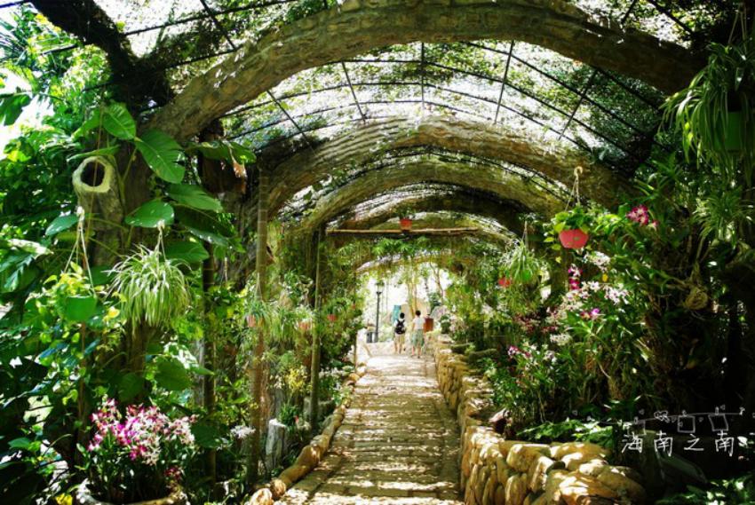 穿过云海后的美景,穿过云海看美景